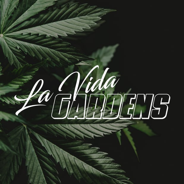 Images La Vida Gardens Dispensary Belleville NJ