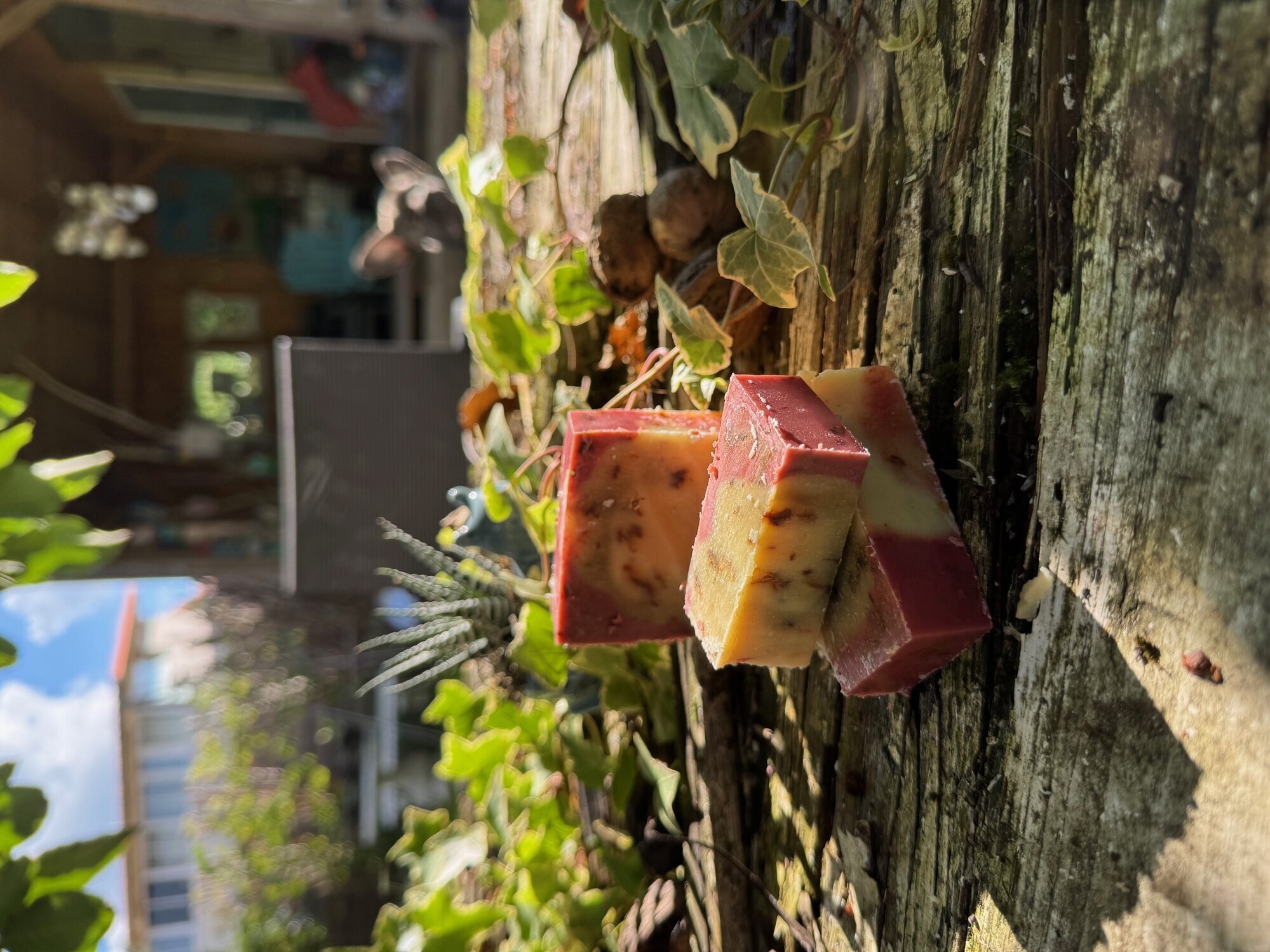 Bilder löwenstier Haarentfernung mit Sugaring & Seifen Manufaktur