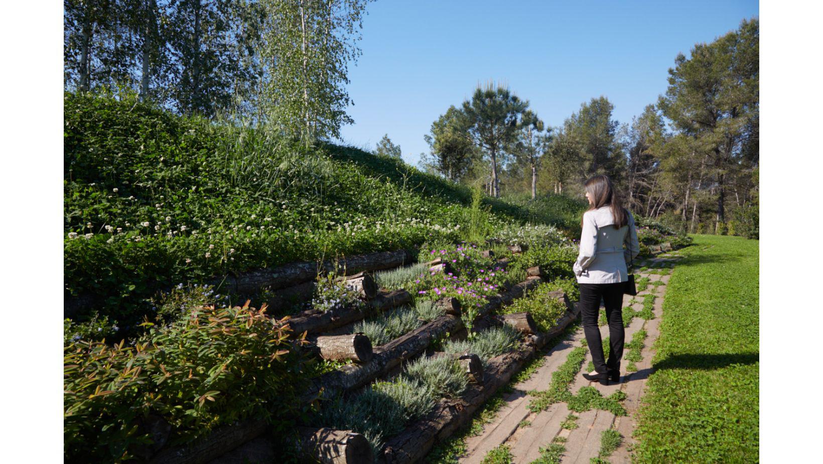 Cementiri Comarcal Roques Blanques 74