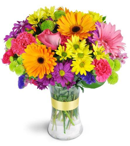 Images Rainbow Florist Designers