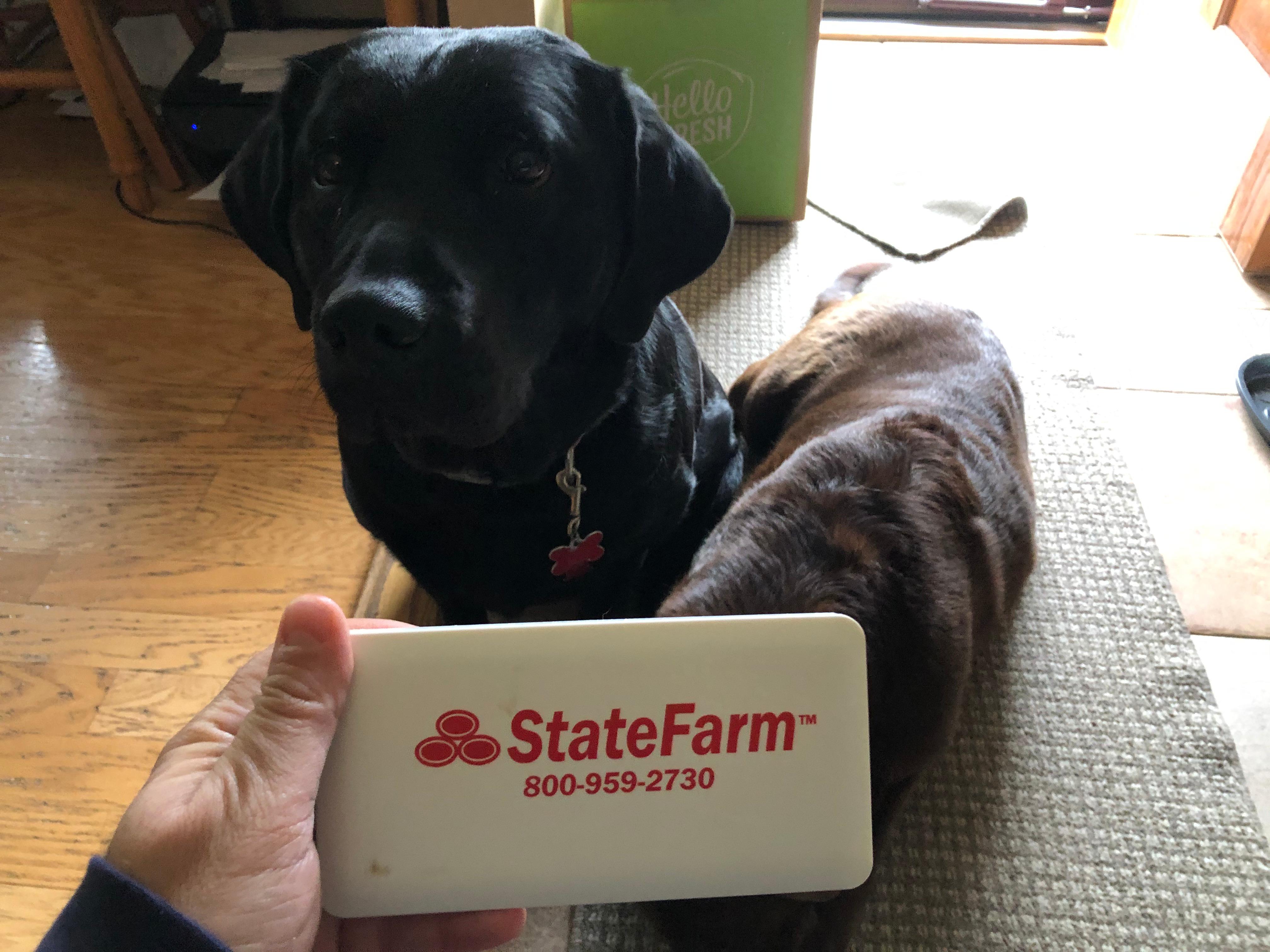 State Farm pups smiling with their State Farm treat