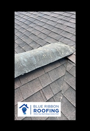 Images Blue Ribbon Roofing LLC - Jersey Village Roof Replacement