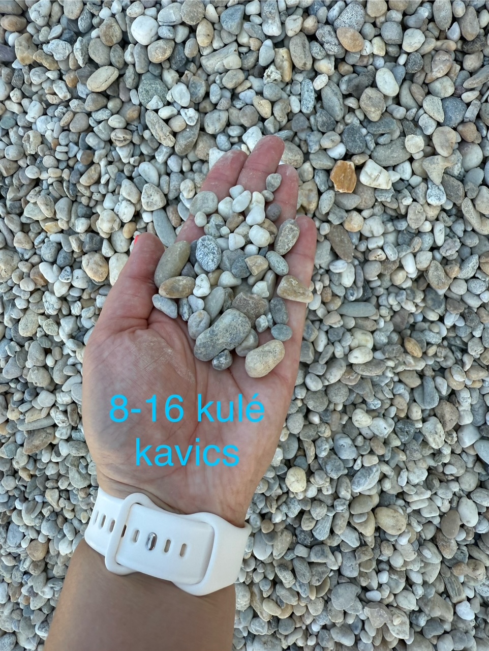 Images Koller és Varga Kft.