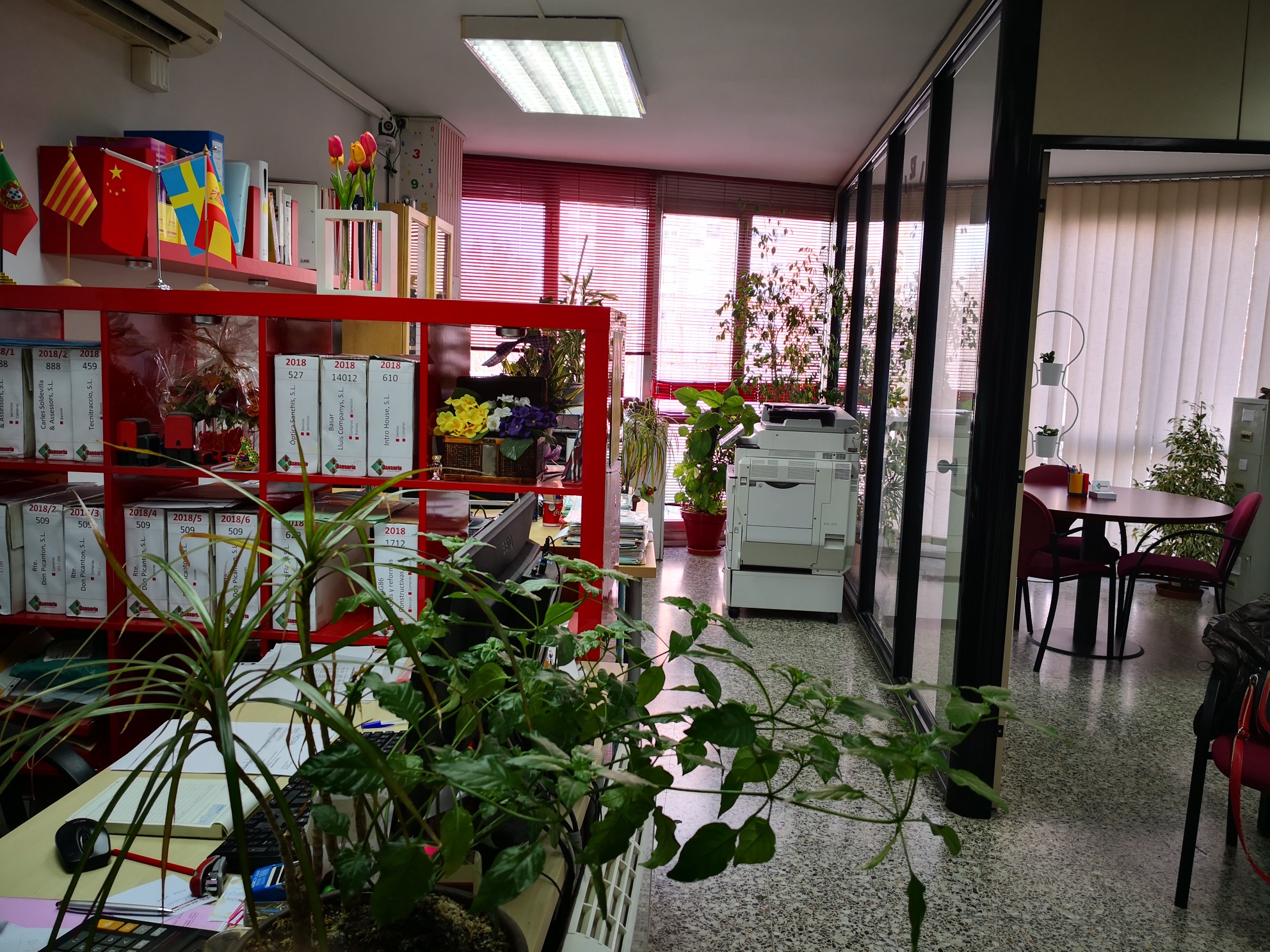 Images CS Asesoría
