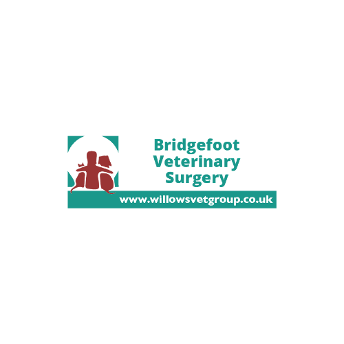 Bridgefoot Veterinary Surgery Warrington 01925 633345
