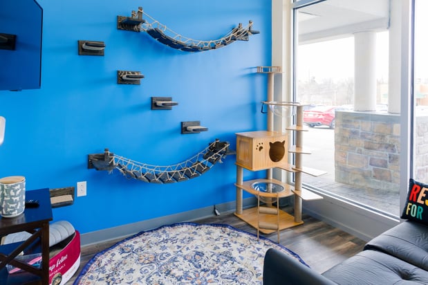 Images PetVet365 Pet Hospital Pittsburgh / South Hills