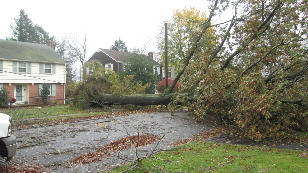 Storm season can continue into the summer months with heavy rain and wind. Those storms can cause trees to fall. As a tree service provider, we help homeowners in communities like Symmes Township, Ohio with pruning and trimming that reduces the risk of damage to your property. Do you have trees with dead branches on them? Call us today for an appointment.