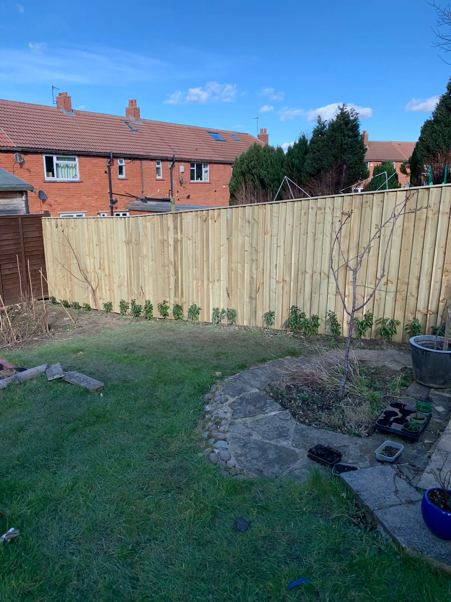 Images D & E Landscapes