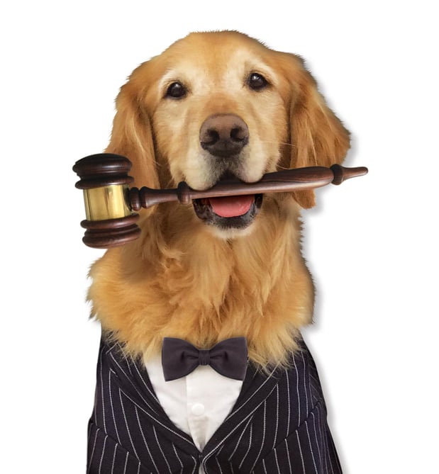 Images Cobb Hammett LLC