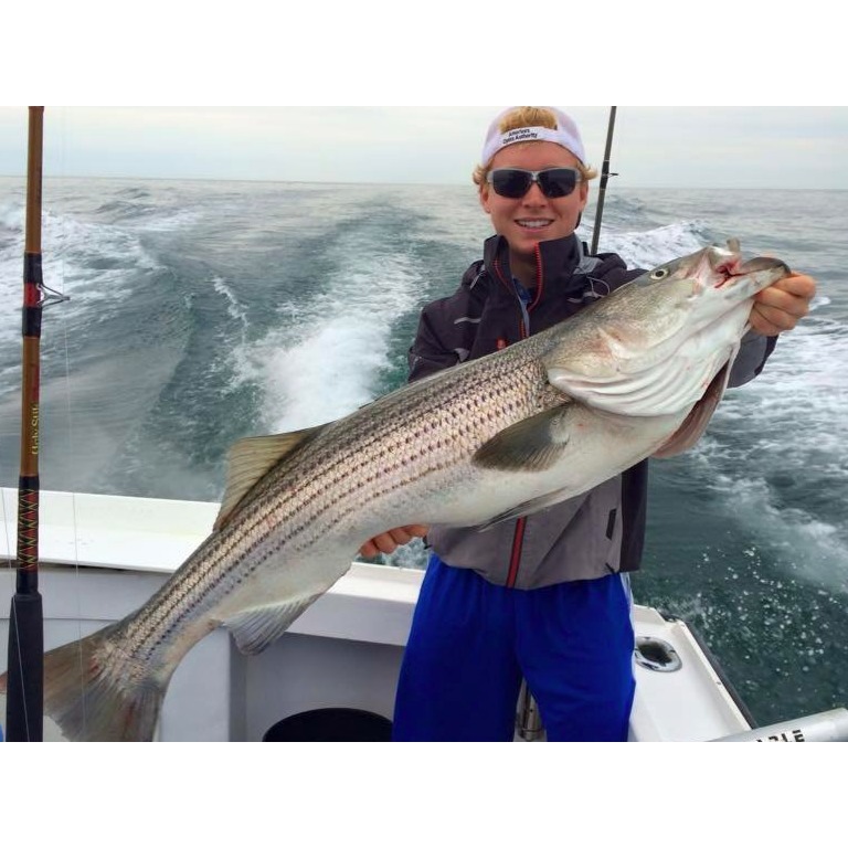 Shark Shark Tuna Fishing Charters