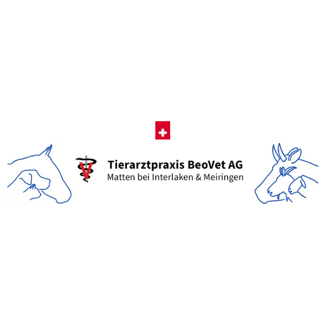 Tierarztpraxis BeoVet  AG Logo