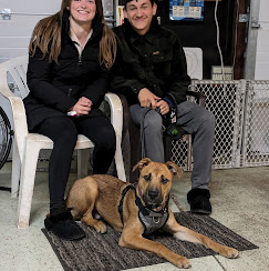 Images Molasses Creek Dog Training, LLC