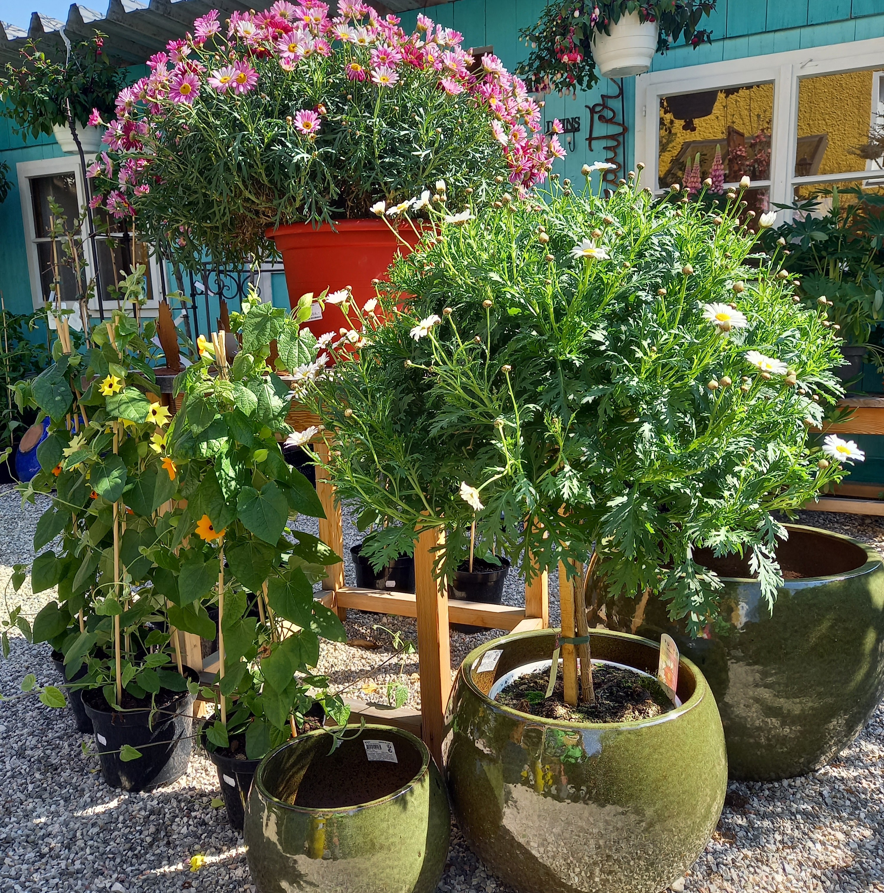 Bild 71 von Grün-Zone