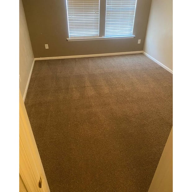 Images Beach Carpet Care