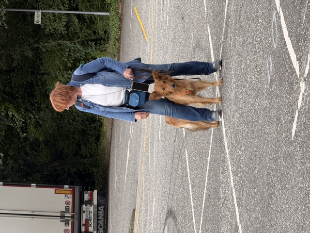 Hundeschule DogGeeks® TonCane: Online & Mobil, Voßbarg 23 in Seevetal