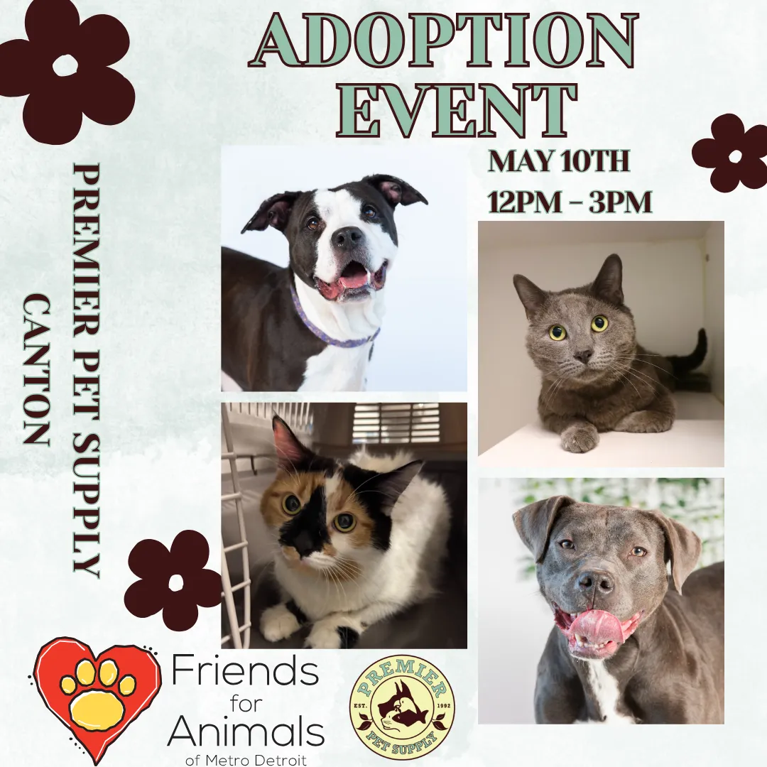 Image of Local Pet Event FRIENDS FOR ANIMALS OF MET DETROIT ADOPTION EVENT | CANTON Nearby