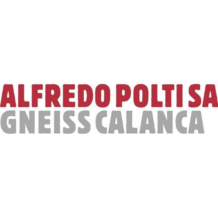 Alfredo Polti SA Logo