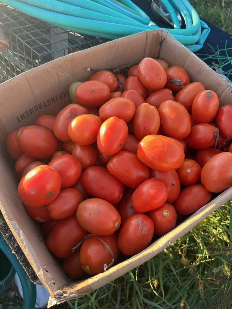 The Flower Shoppe Greenhouse Image
