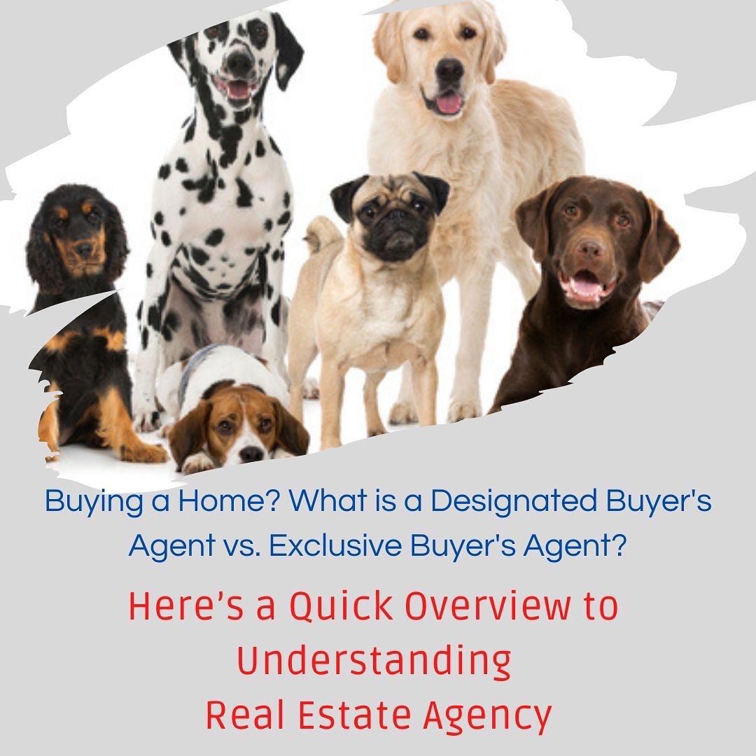 Here’s a Quick Overview to Understanding Real Estate Agency.
What You Need to Know Before Hiring a Buyer’s Agent in the Greater Washington, DC Metro Area. Not all Buyer’s Agents are the Same.