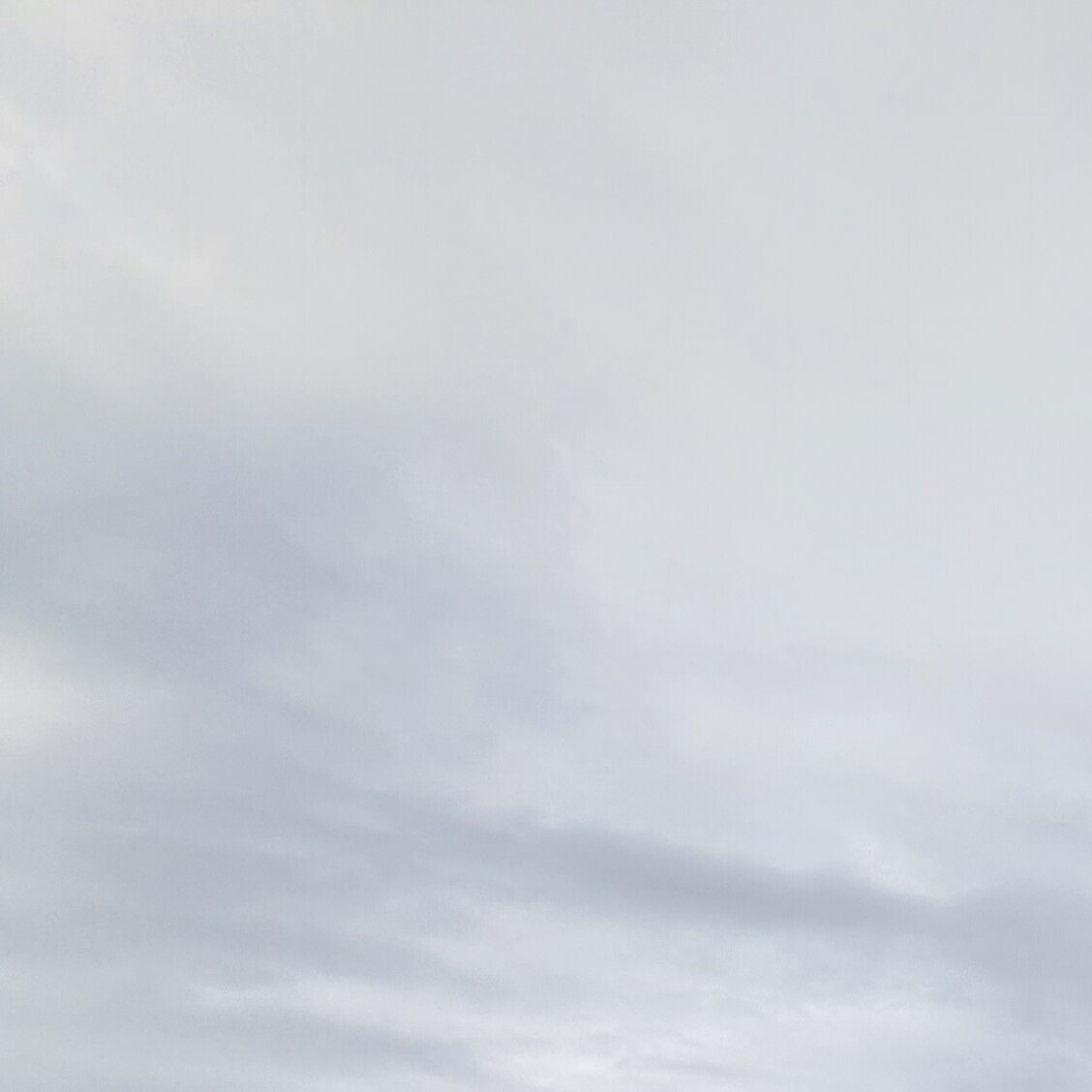 Images MM Roof Cleaning Services (MMRCS)