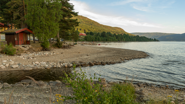 Images Fyresdal Kurs og Leirsted AS