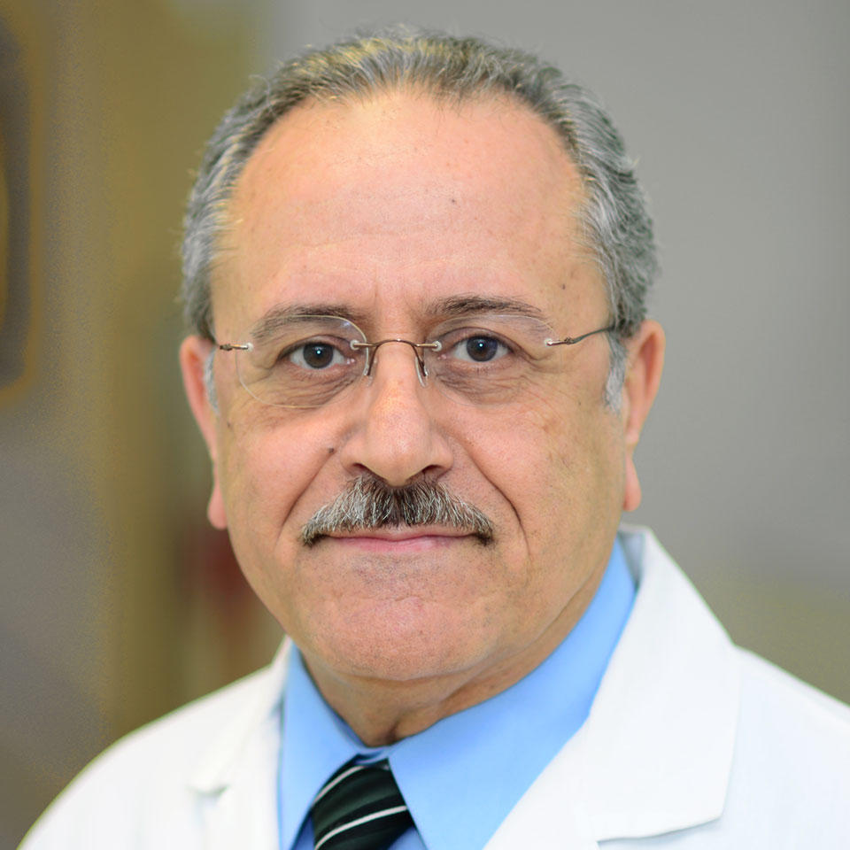 Dr. Talat F Addasi, MD