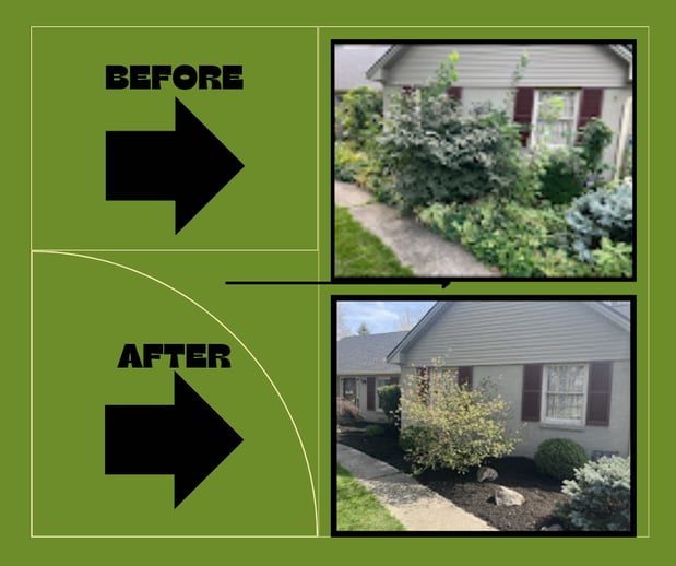 Images Shepherd's Landscaping