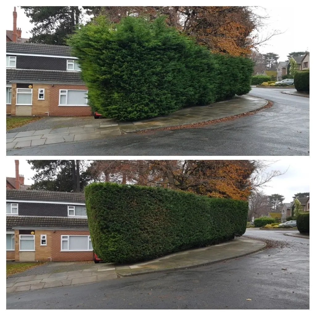 Images P Raitt Garden Maintenance