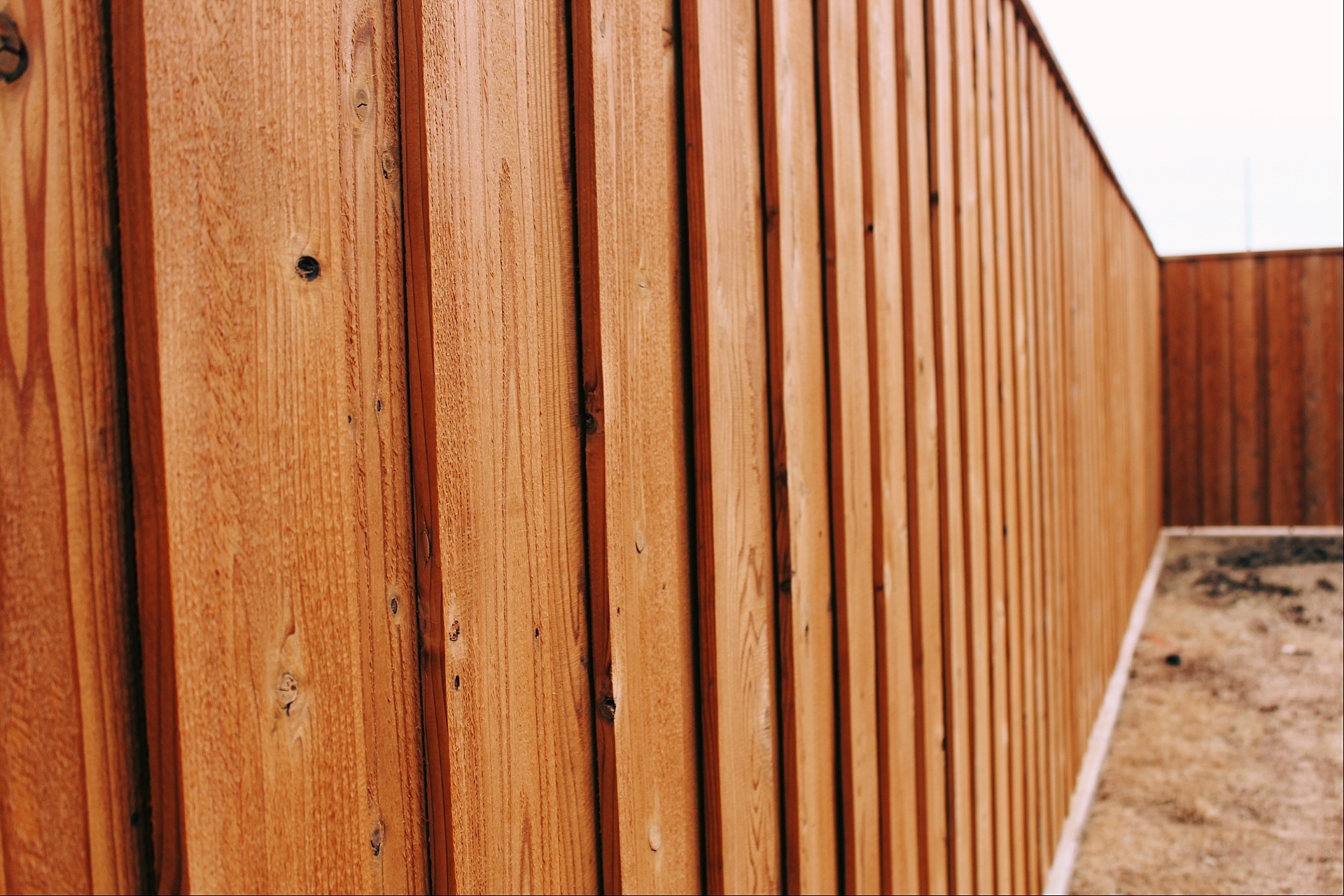 Elite Fence Staining 