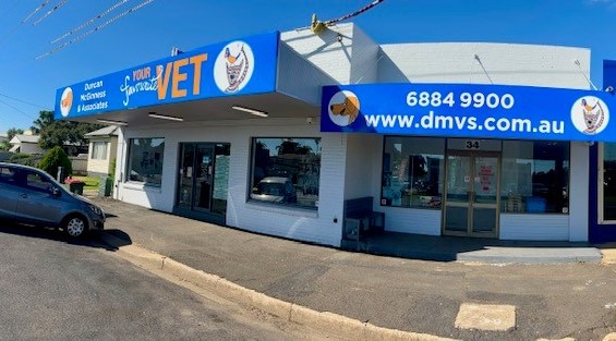 Images Duncan McGinness Veterinary Surgeon