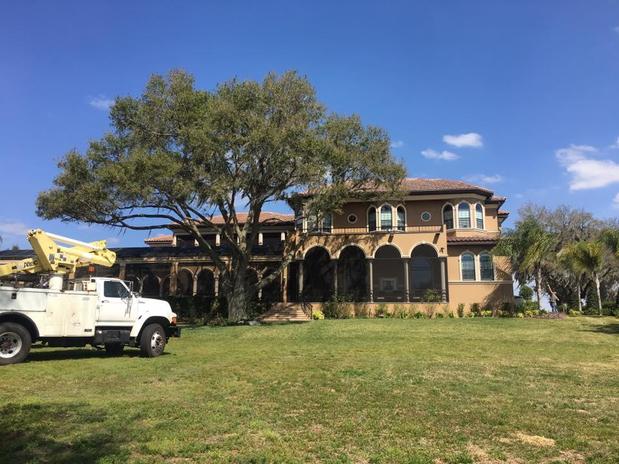 Images Miller Son Tree Service