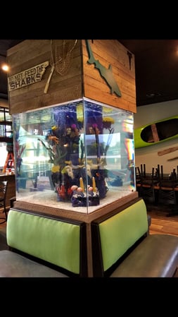 Images Sea Clear Reefs and Aquariums LLC