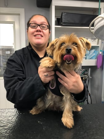 Images VCA Devotion Animal Hospital
