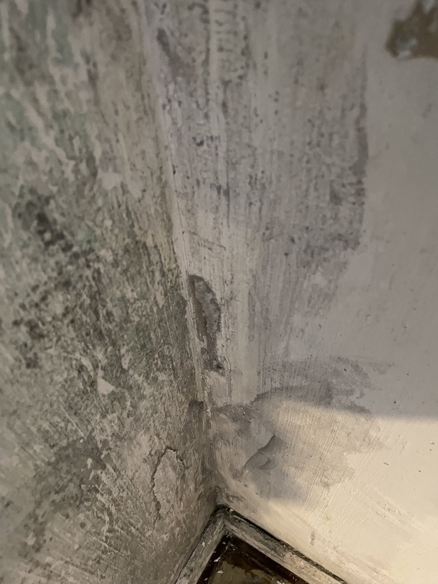 Sachverständigenbüro Oliver Peters, Oher Straße 16 a in Reinbek