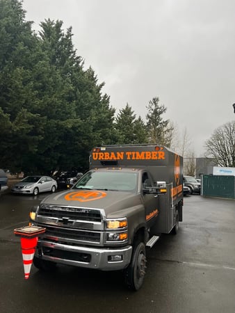 Images Urban Timber Tree Service of Portland OR