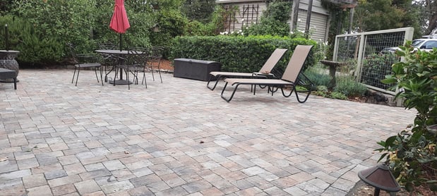 Images Paz Landscape