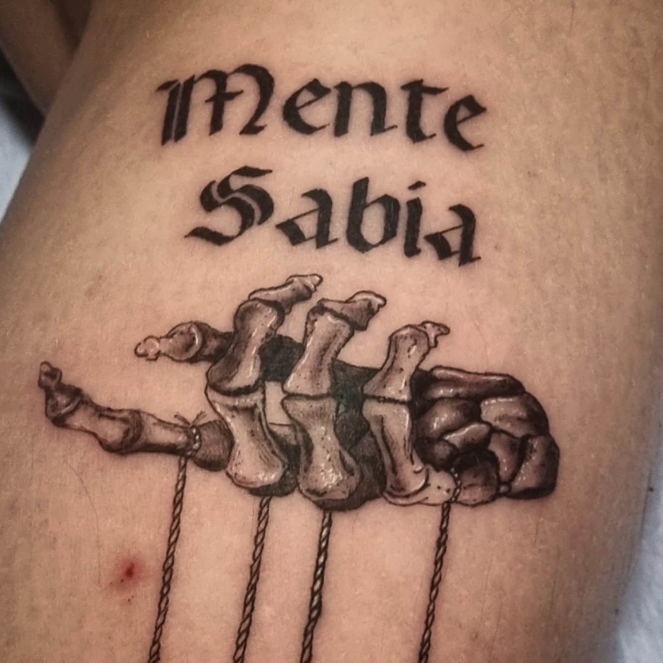 Images Noctaris Tattoo
