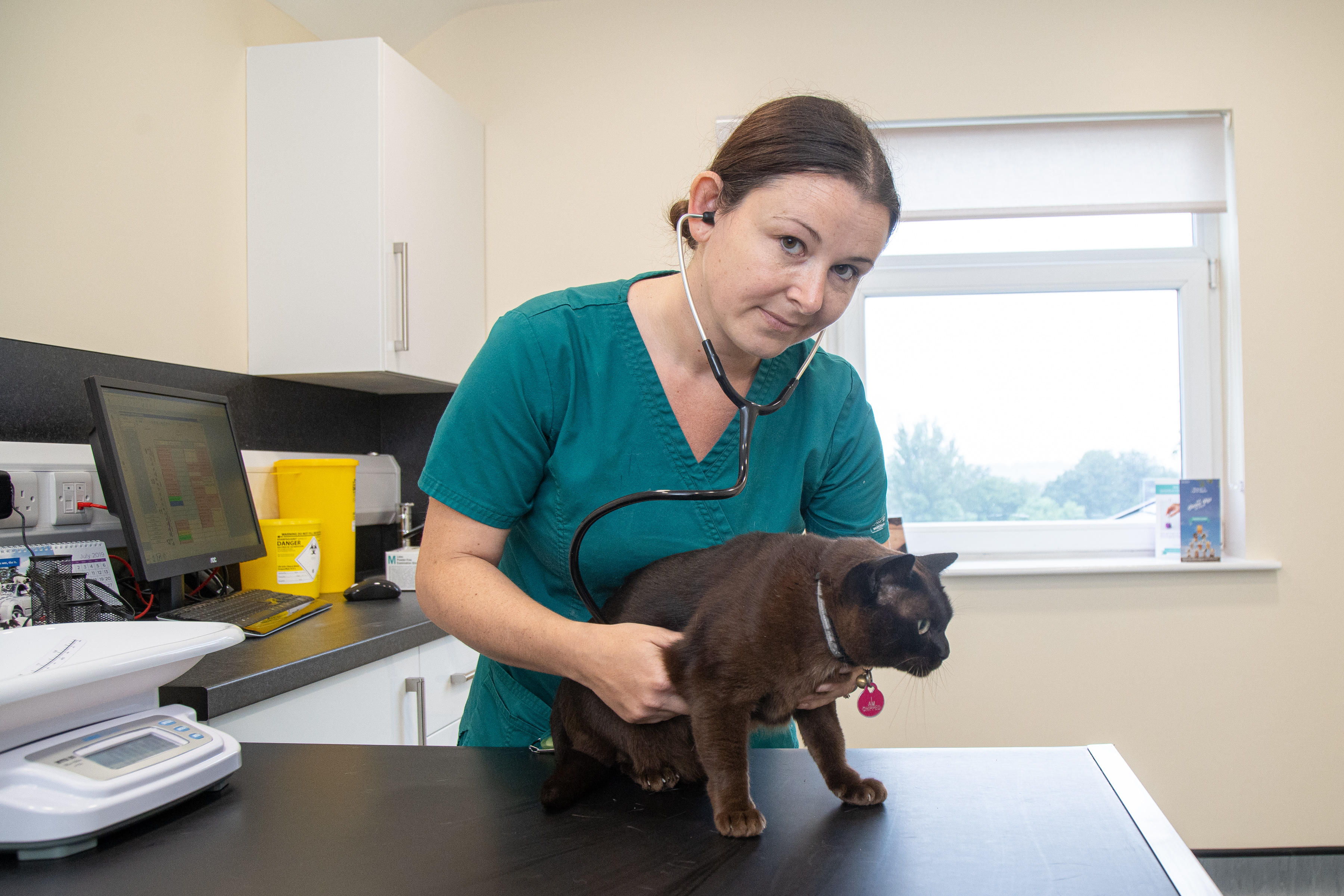 Images Willows Veterinary Group - Manor Court Veterinary Centre