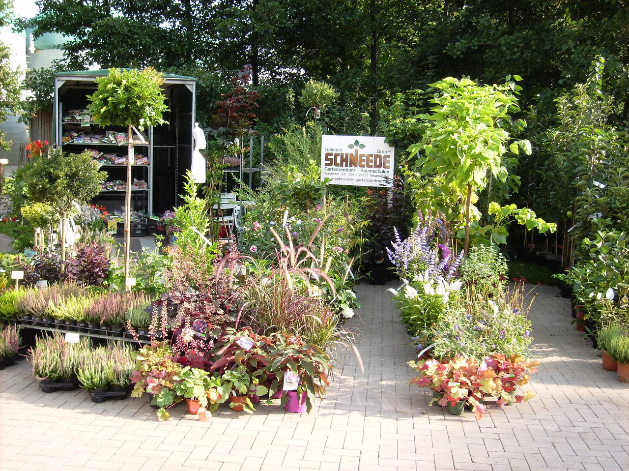 Schneede Gartenzentrum Baumschulen in Neumünster - Logo