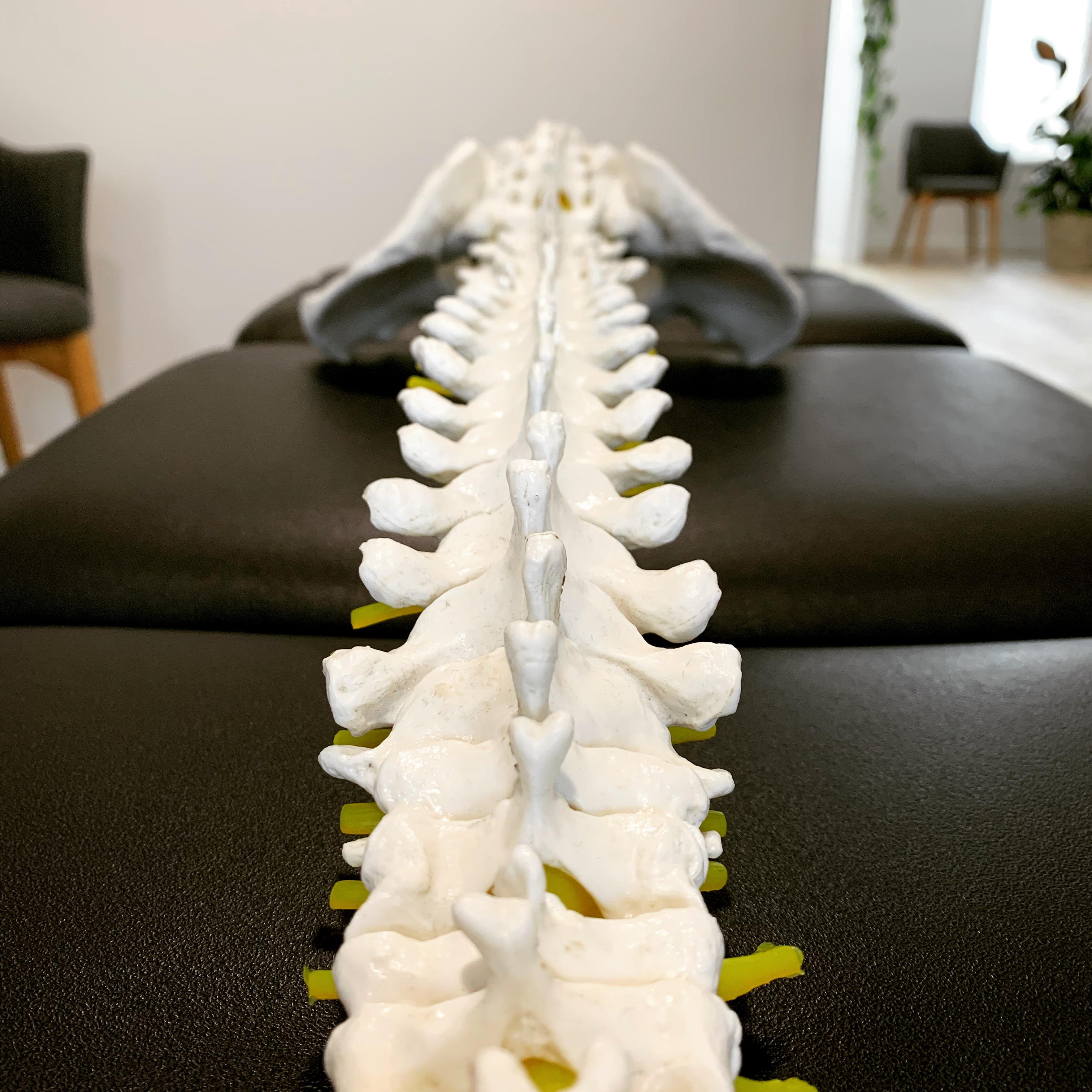 Images Alex Mendieta Chiropractic