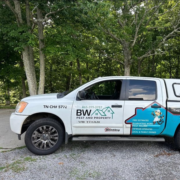 Images BW Pest & Property Services