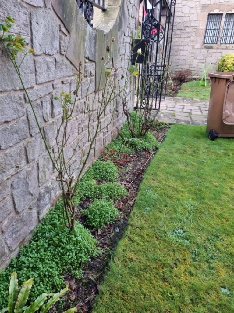 Images Robert's Gardening Services Landscaping and Lawn Care