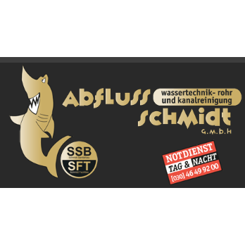 Abfluß-Schmidt-GmbH in Berlin - Logo