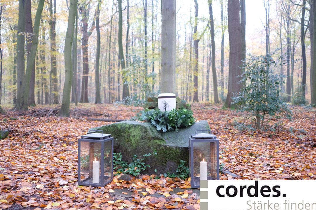 Bilder Friedrich Cordes Bestattungen Ronnenberg-Empelde
