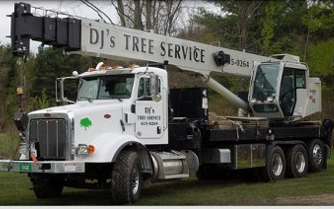 Images D J's Tree Service