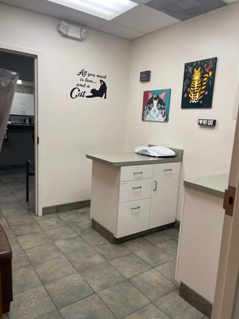 Images VCA Village Animal Hospital