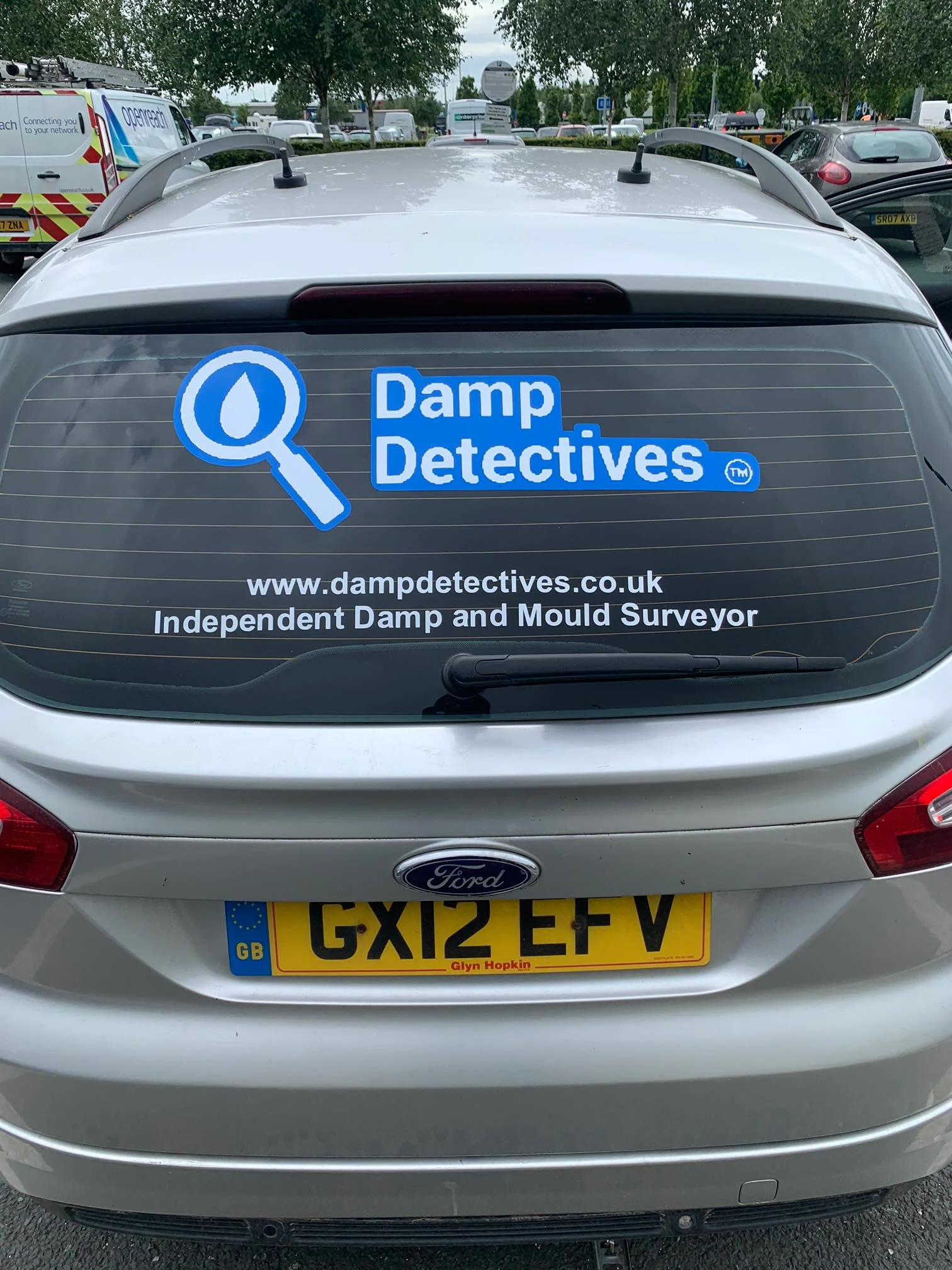 Images Damp Detectives