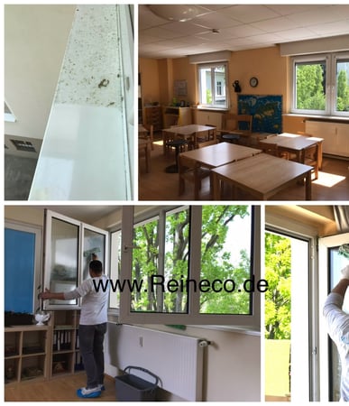 Bilder REINECO