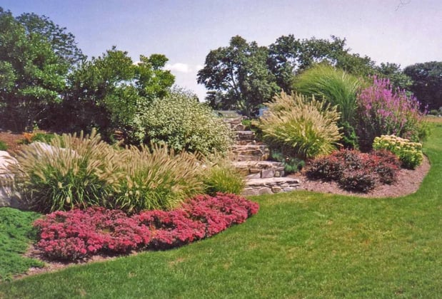 Images DaPonte's Landscaping Services