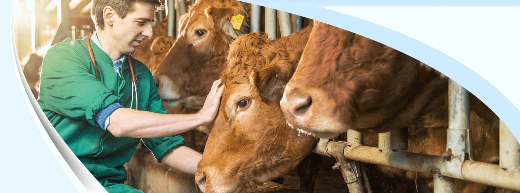 ACTO GmbH, Büchnerstrasse 11 in Braunschweig